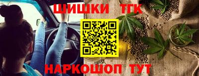 прущие грибы Гусиноозёрск