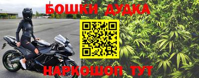 прущие грибы Гусиноозёрск