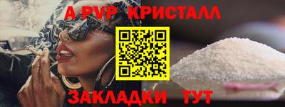 спиды Гусев
